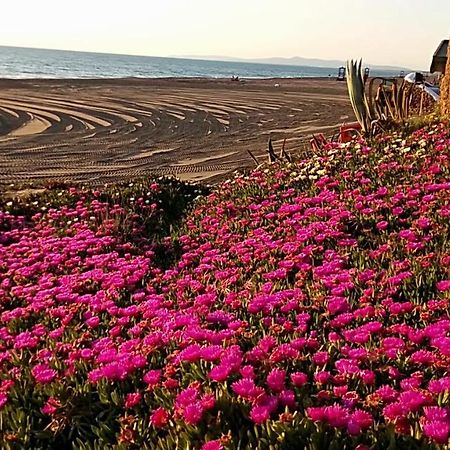 Hotel Lupo Di Mare Marina di Castagneto Carducci Eksteriør bilde