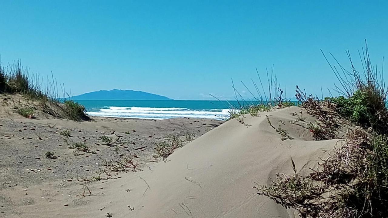 Hotel Lupo Di Mare Marina di Castagneto Carducci Eksteriør bilde