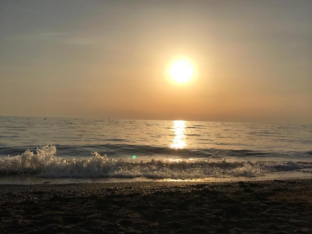 Hotel Lupo Di Mare Marina di Castagneto Carducci Eksteriør bilde