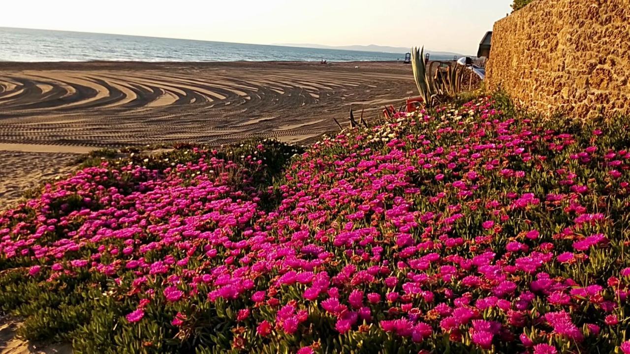 Hotel Lupo Di Mare Marina di Castagneto Carducci Eksteriør bilde