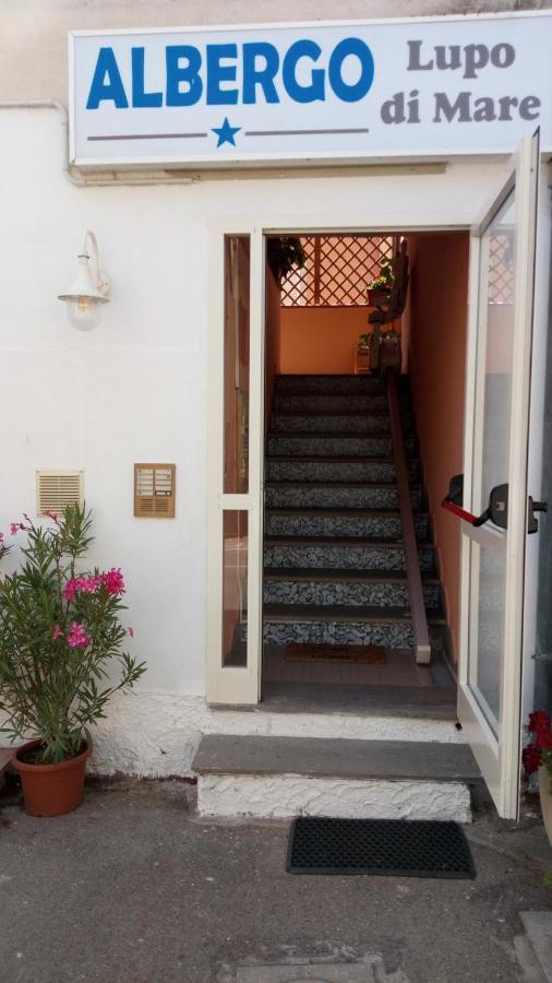 Hotel Lupo Di Mare Marina di Castagneto Carducci Eksteriør bilde